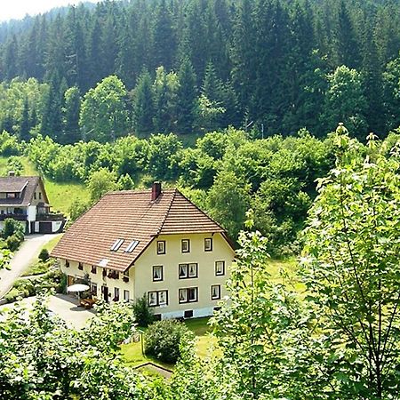 Country Style Flat With Garden Apartment Triberg im Schwarzwald Exterior foto