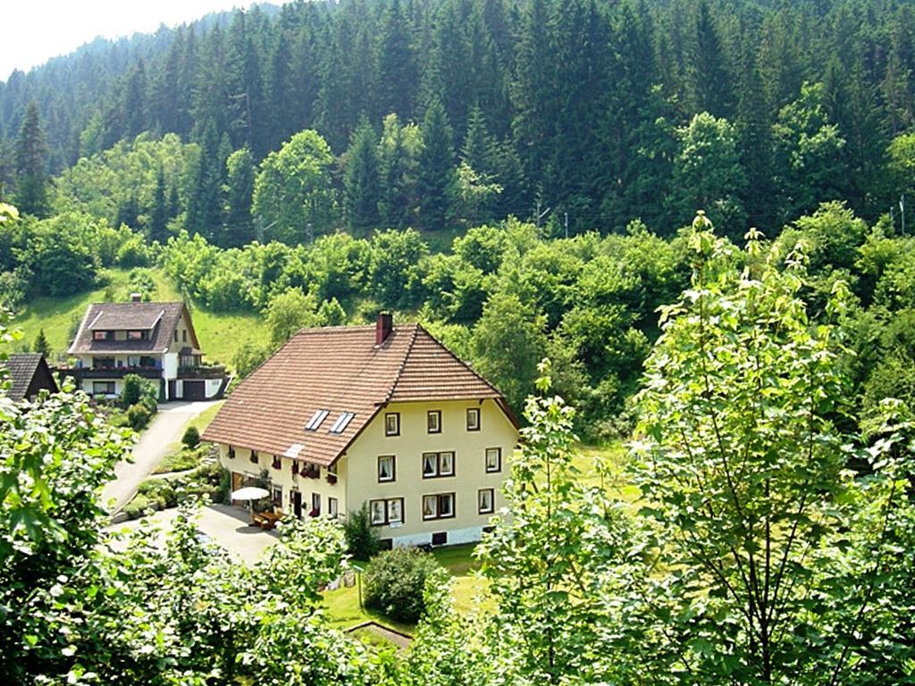 Country Style Flat With Garden Apartment Triberg im Schwarzwald Exterior foto